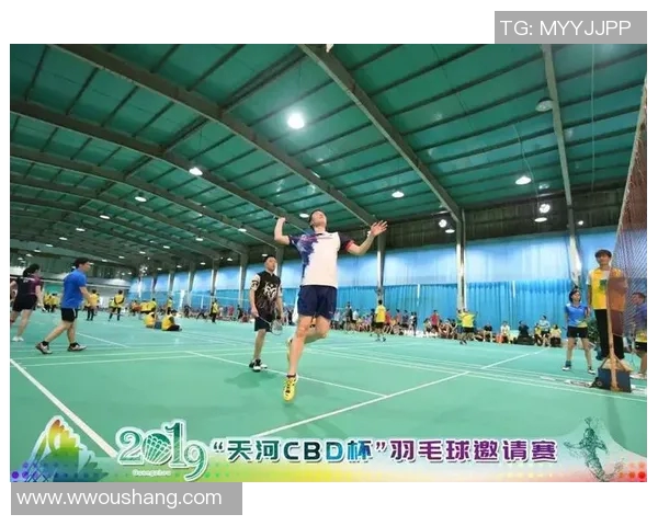 西安羽毛球队在全国团队协作排行榜中荣获第七名的佳绩分析