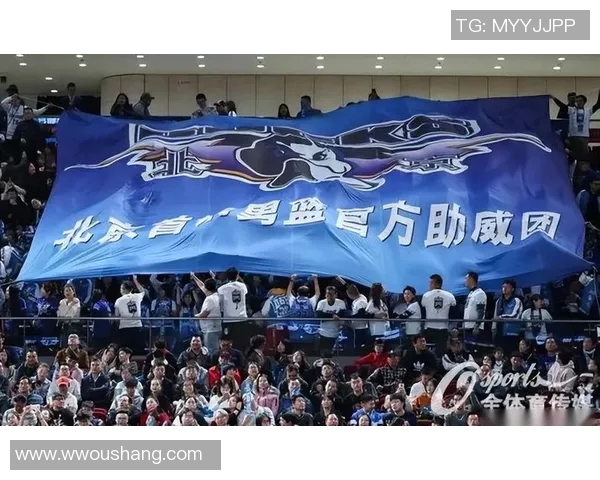 南京羽毛球队的速度变革引发热议助力竞技水平提升与未来发展