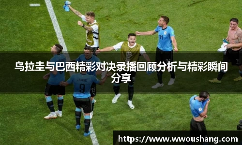 贝博BB