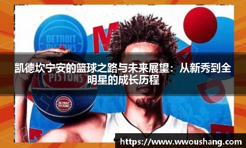 贝博BB