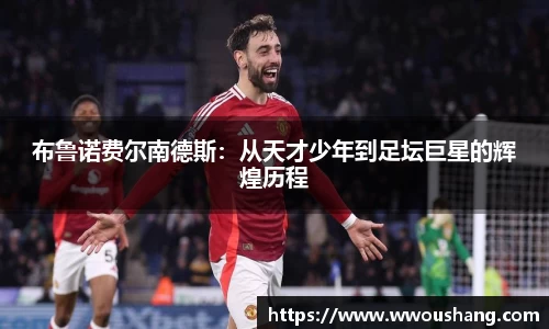 贝博BB