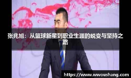 贝博BB